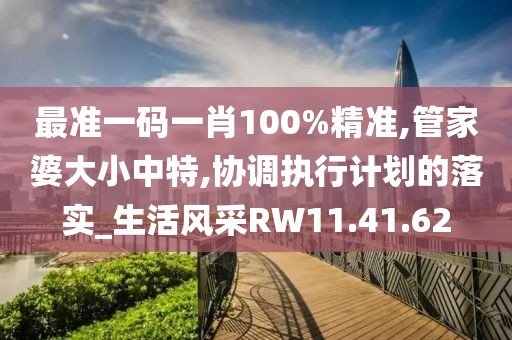 最准一码一肖100%精准,管家婆大小中特,协调执行计划的落实_生活风采RW11.41.62