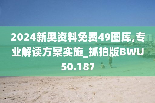 2024新奥资料免费49图库,专业解读方案实施_抓拍版BWU50.187