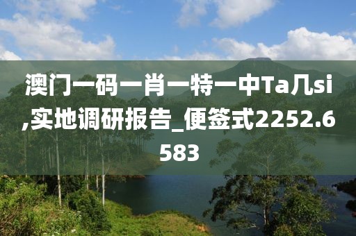 澳门一码一肖一特一中Ta几si,实地调研报告_便签式2252.6583