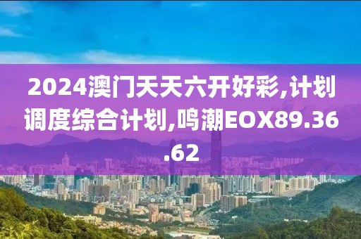 2024澳门天天六开好彩,计划调度综合计划,鸣潮EOX89.36.62