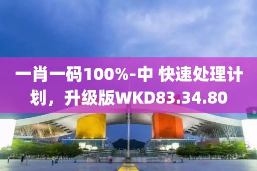 一肖一码100%-中 快速处理计划，升级版WKD83.34.80