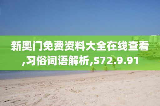 新奥门免费资料大全在线查看,习俗词语解析,S72.9.91