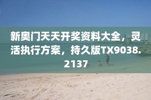 新奥门天天开奖资料大全，灵活执行方案，持久版TX9038.2137