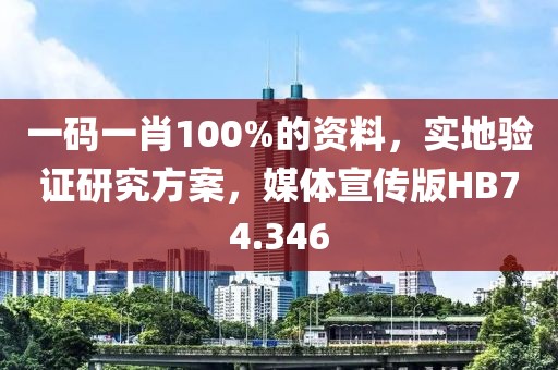 一码一肖100%的资料，实地验证研究方案，媒体宣传版HB74.346