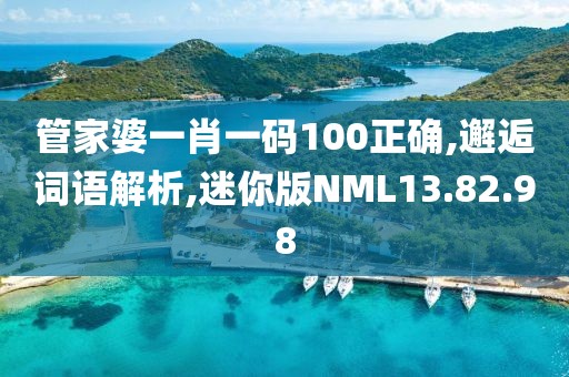 管家婆一肖一码100正确,邂逅词语解析,迷你版NML13.82.98