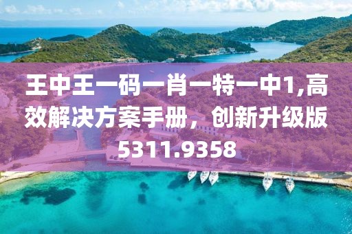 王中王一码一肖一特一中1,高效解决方案手册，创新升级版5311.9358