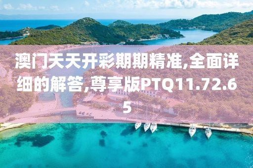 澳门天天开彩期期精准,全面详细的解答,尊享版PTQ11.72.65