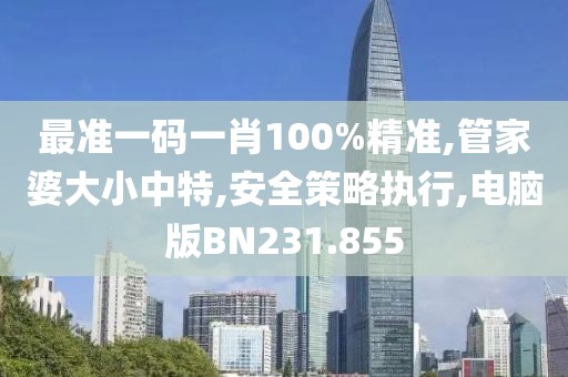 最准一码一肖100%精准,管家婆大小中特,安全策略执行,电脑版BN231.855