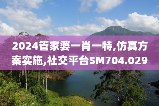 2024管家婆一肖一特,仿真方案实施,社交平台SM704.029