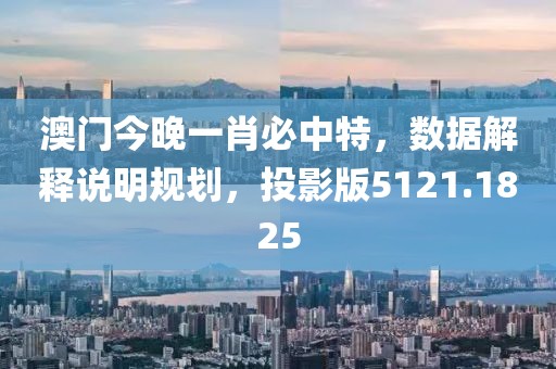 澳门今晚一肖必中特，数据解释说明规划，投影版5121.1825