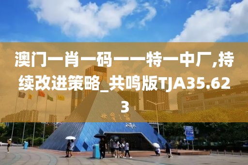 澳门一肖一码一一特一中厂,持续改进策略_共鸣版TJA35.623