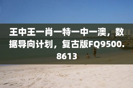 王中王一肖一特一中一澳，数据导向计划，复古版FQ9500.8613