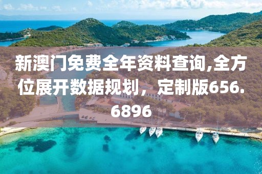 新澳门免费全年资料查询,全方位展开数据规划，定制版656.6896