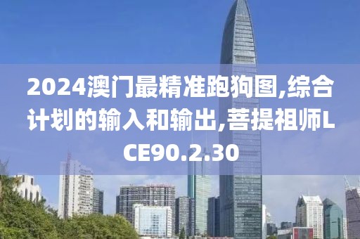 2024澳门最精准跑狗图,综合计划的输入和输出,菩提祖师LCE90.2.30