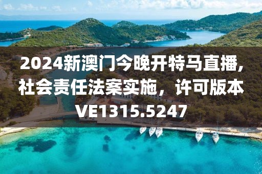 2024新澳门今晚开特马直播,社会责任法案实施，许可版本VE1315.5247
