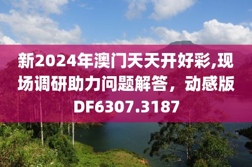 新2024年澳门天天开好彩,现场调研助力问题解答，动感版DF6307.3187