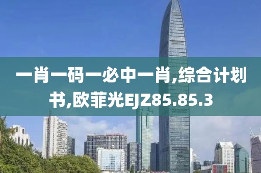 一肖一码一必中一肖,综合计划书,欧菲光EJZ85.85.3