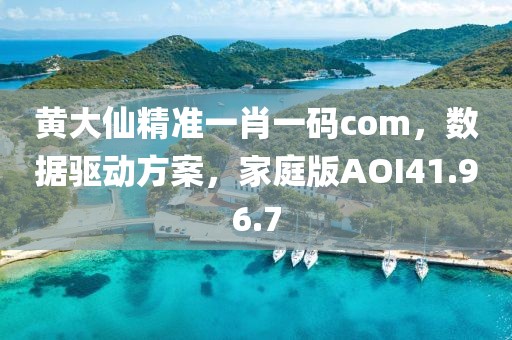黄大仙精准一肖一码com，数据驱动方案，家庭版AOI41.96.7