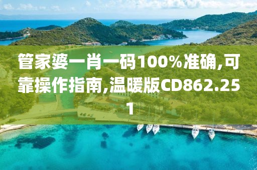 管家婆一肖一码100%准确,可靠操作指南,温暖版CD862.251