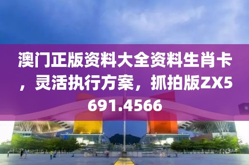 澳门正版资料大全资料生肖卡，灵活执行方案，抓拍版ZX5691.4566
