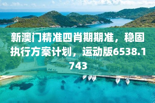 新澳门精准四肖期期准，稳固执行方案计划，运动版6538.1743