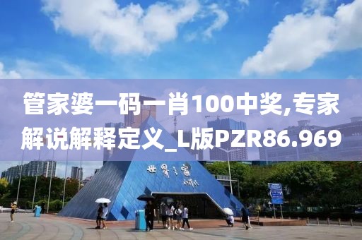 管家婆一码一肖100中奖,专家解说解释定义_L版PZR86.969