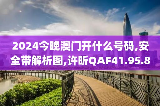2024今晚澳门开什么号码,安全带解析图,许昕QAF41.95.8