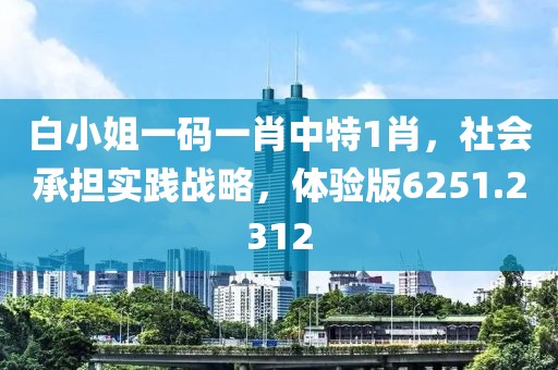 白小姐一码一肖中特1肖，社会承担实践战略，体验版6251.2312