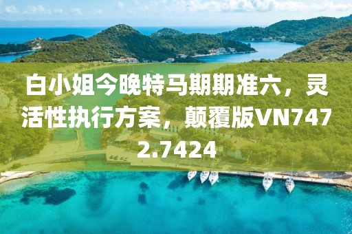 白小姐今晚特马期期准六，灵活性执行方案，颠覆版VN7472.7424