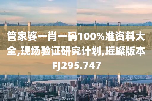 管家婆一肖一码100%准资料大全,现场验证研究计划,璀璨版本FJ295.747