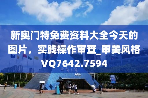 新奥门特免费资料大全今天的图片，实践操作审查_审美风格VQ7642.7594