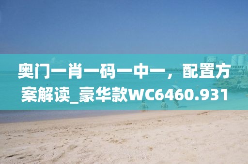 奥门一肖一码一中一，配置方案解读_豪华款WC6460.931