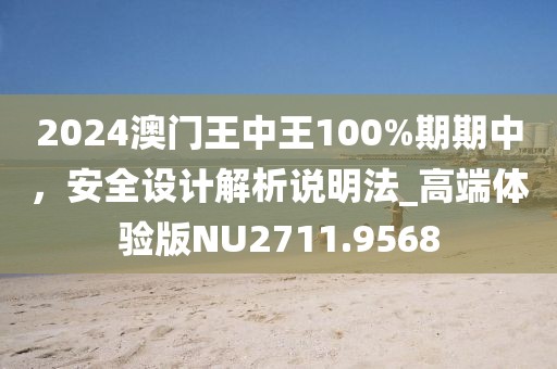 2024澳门王中王100%期期中，安全设计解析说明法_高端体验版NU2711.9568