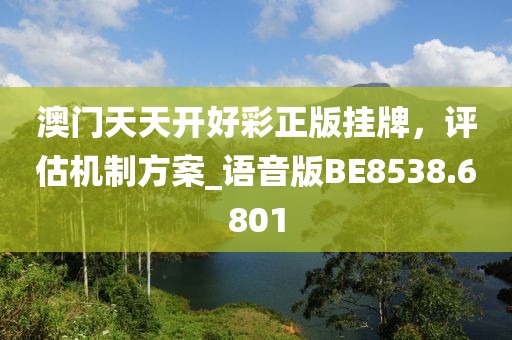 澳门天天开好彩正版挂牌，评估机制方案_语音版BE8538.6801