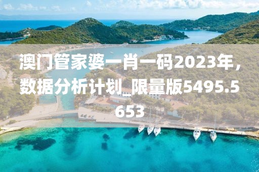 澳门管家婆一肖一码2023年，数据分析计划_限量版5495.5653