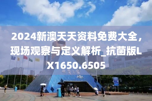 2024新澳天天资料免费大全，现场观察与定义解析_抗菌版LX1650.6505