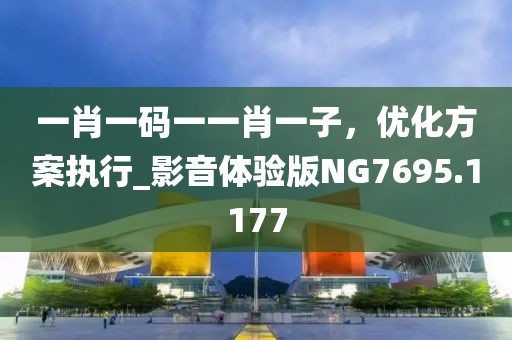 一肖一码一一肖一子，优化方案执行_影音体验版NG7695.1177