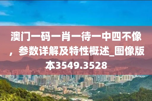 澳门一码一肖一待一中四不像，参数详解及特性概述_图像版本3549.3528
