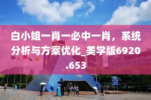 白小姐一肖一必中一肖，系统分析与方案优化_美学版6920.653
