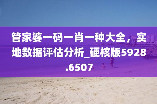 管家婆一码一肖一种大全，实地数据评估分析_硬核版5928.6507