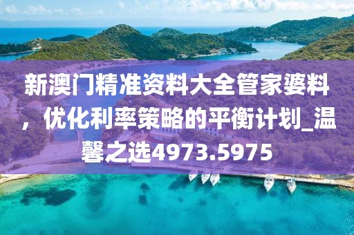 新澳门精准资料大全管家婆料，优化利率策略的平衡计划_温馨之选4973.5975