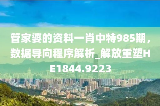 管家婆的资料一肖中特985期，数据导向程序解析_解放重塑HE1844.9223
