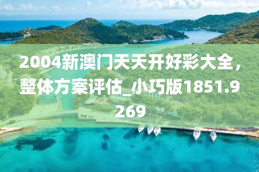 2004新澳门天天开好彩大全，整体方案评估_小巧版1851.9269