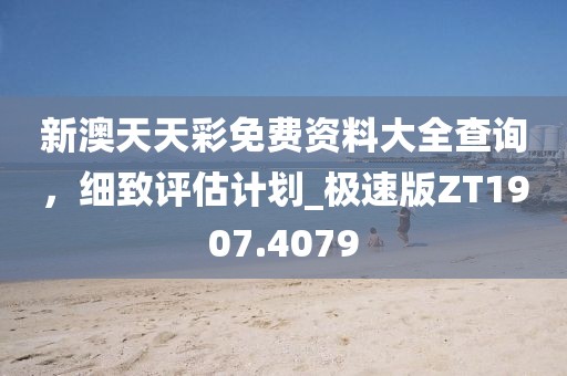 新澳天天彩免费资料大全查询，细致评估计划_极速版ZT1907.4079