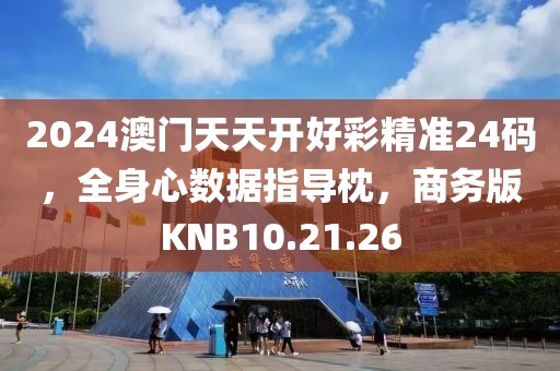 2024澳门天天开好彩精准24码，全身心数据指导枕，商务版KNB10.21.26