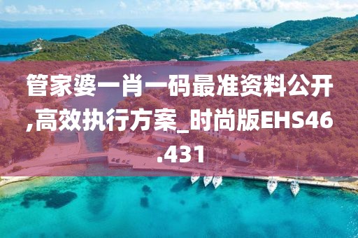 管家婆一肖一码最准资料公开,高效执行方案_时尚版EHS46.431
