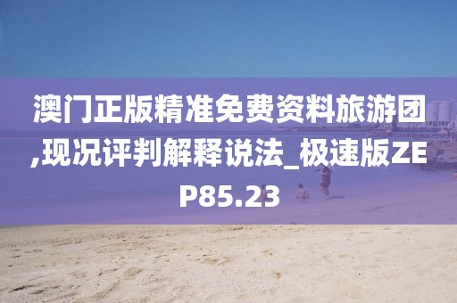 澳门正版精准免费资料旅游团,现况评判解释说法_极速版ZEP85.23