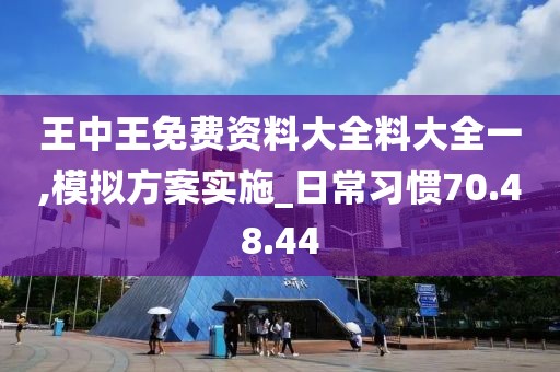 王中王免费资料大全料大全一,模拟方案实施_日常习惯70.48.44