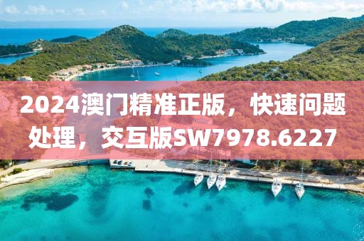 2024澳门精准正版，快速问题处理，交互版SW7978.6227