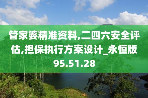 管家婆精准资料,二四六安全评估,担保执行方案设计_永恒版95.51.28